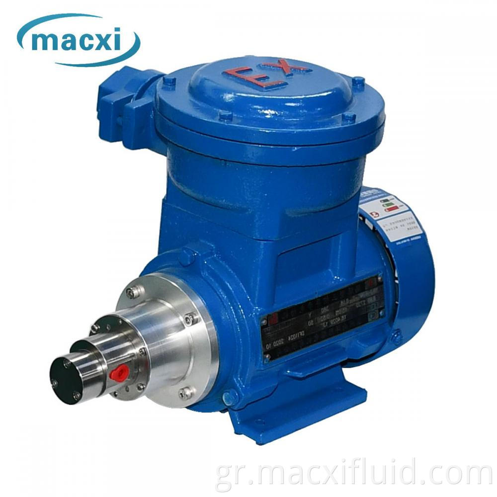 Explosion Proof Motor Micro Gear Pump